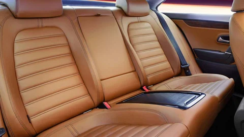 Detalle del cuero automotriz y cinturón de seguridad